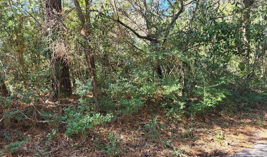 52 Fort Holmes Trl, Bald Head Island, NC 28461 - 0 Beds, 0 Bath