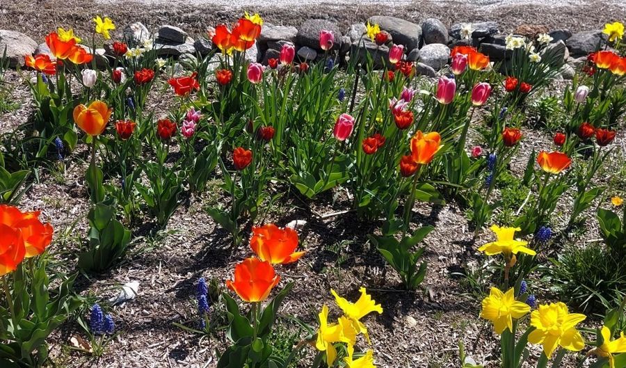 444 W Auburn Rd, Auburn, ME 04210 - 4 Beds, 0 Bath