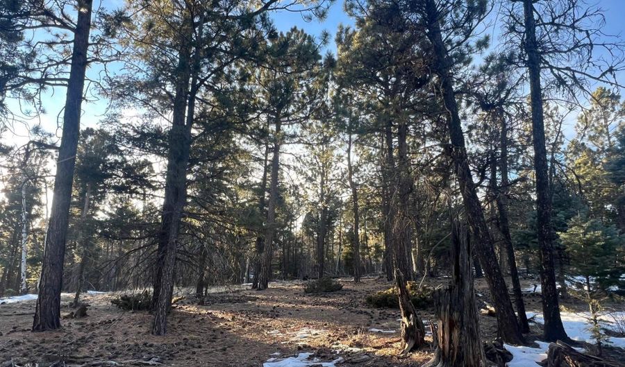 Vail Loop lot 352, Angel Fire, NM 87710 - 0 Beds, 0 Bath