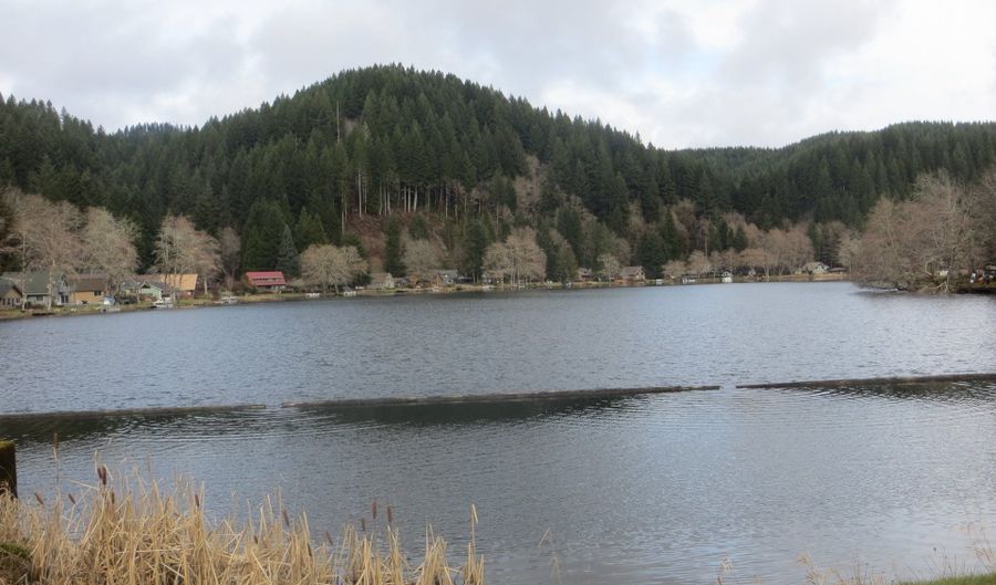 71257 NORTHSHORE Dr, Birkenfeld, OR 97016 - 2 Beds, 3 Bath