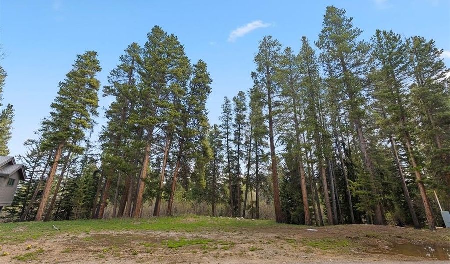 28 TALL PINES Dr, Breckenridge, CO 80424 - 0 Beds, 0 Bath