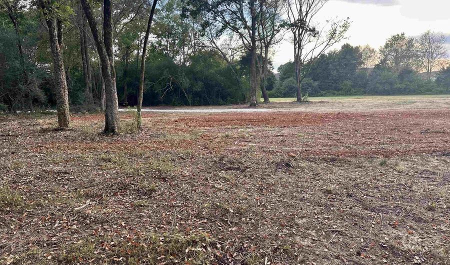 3 82 Acres Alabama Highway 251, Athens, AL 35613 - 0 Beds, 0 Bath