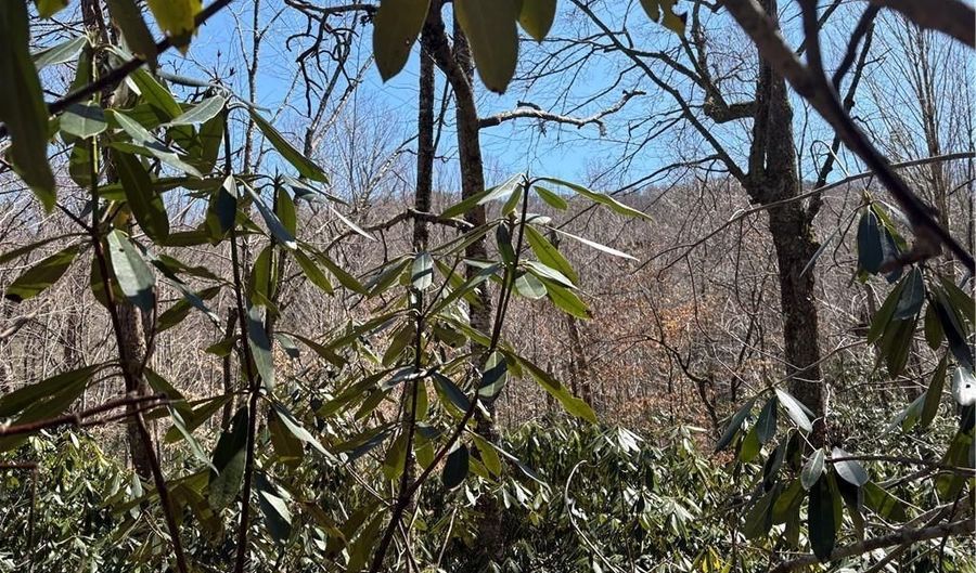 Tract 3 Mountain Vista Lane, Banner Elk, NC 28604 - 0 Beds, 0 Bath