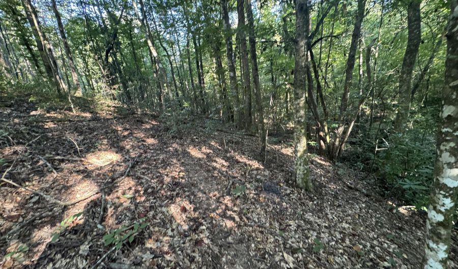 Norman Trail NW, Brookhaven, MS 39601 - 0 Beds, 0 Bath