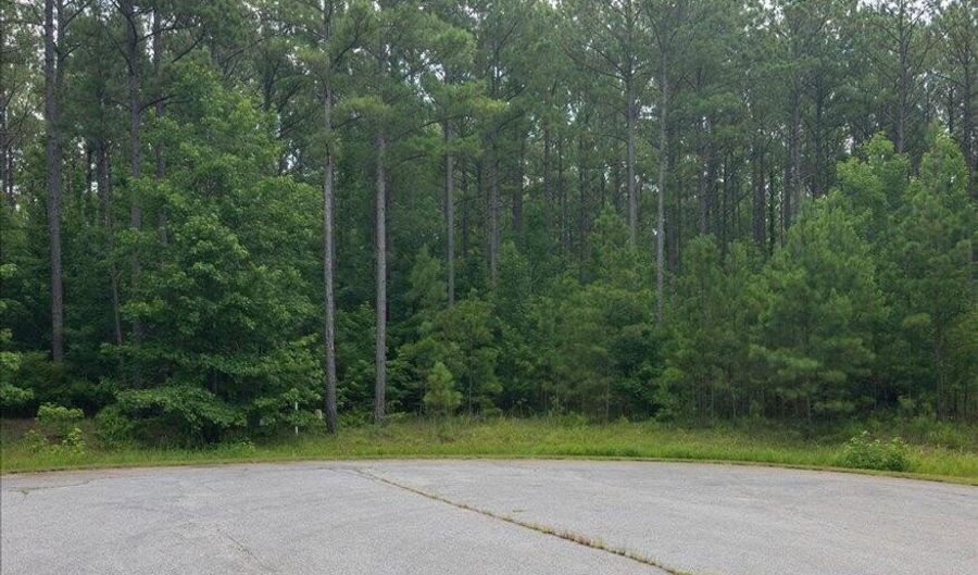 Lot 114 Dock Side Lane, Lincolnton, GA 30817 - 0 Beds, 0 Bath