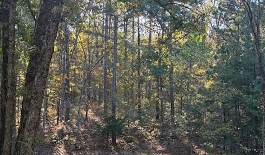 33085 E State Highway 14, Ava, MO 65608 - 2 Beds, 2 Bath