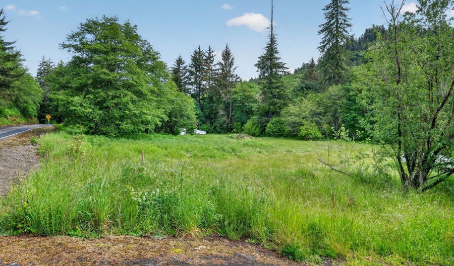 Hwy 101, Beaver, OR 97108 - 0 Beds, 0 Bath