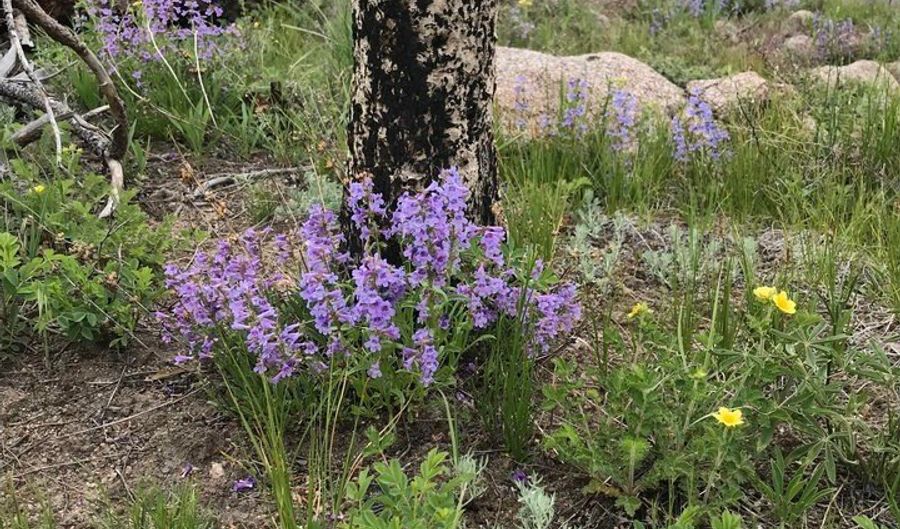 3434 Davis Ranch Rd, Bellvue, CO 80512 - 0 Beds, 0 Bath