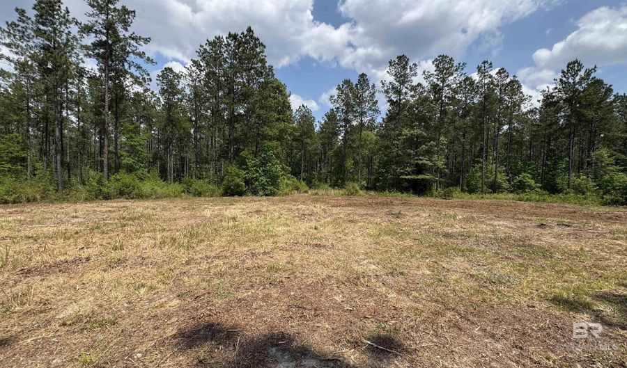 Ronald Sanks Road, Bay Minette, AL 36507 - 0 Beds, 0 Bath