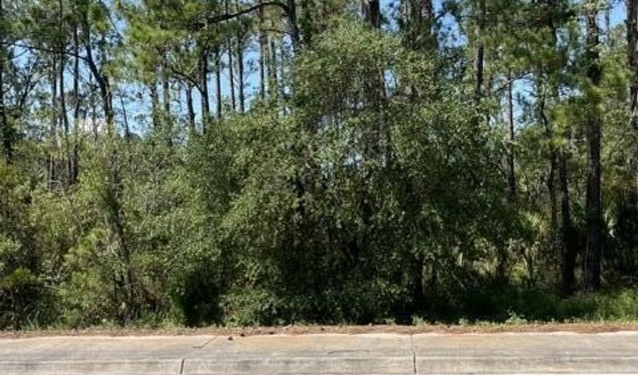 358 Sea Island Pkwy, Beaufort, SC 29907 - 0 Beds, 0 Bath