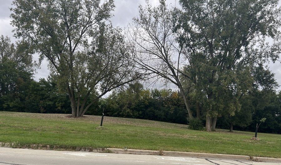 12026 S Kildare Ave 16, Alsip, IL 60803 - 1 Beds, 1 Bath