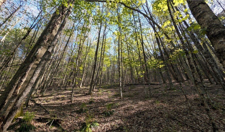 East River Road lot 5, Andes, NY 13731 - 0 Beds, 0 Bath