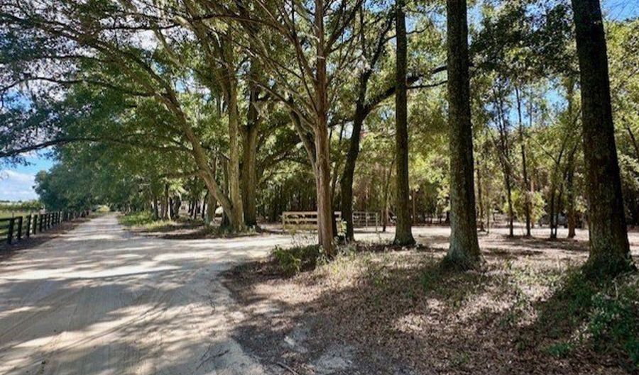 SW 20th St, Bell, FL 32619 - 0 Beds, 0 Bath