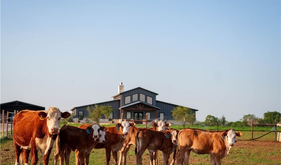 12093 Sulphur Springs Rd, Adkins, TX 78101 - 5 Beds, 4 Bath