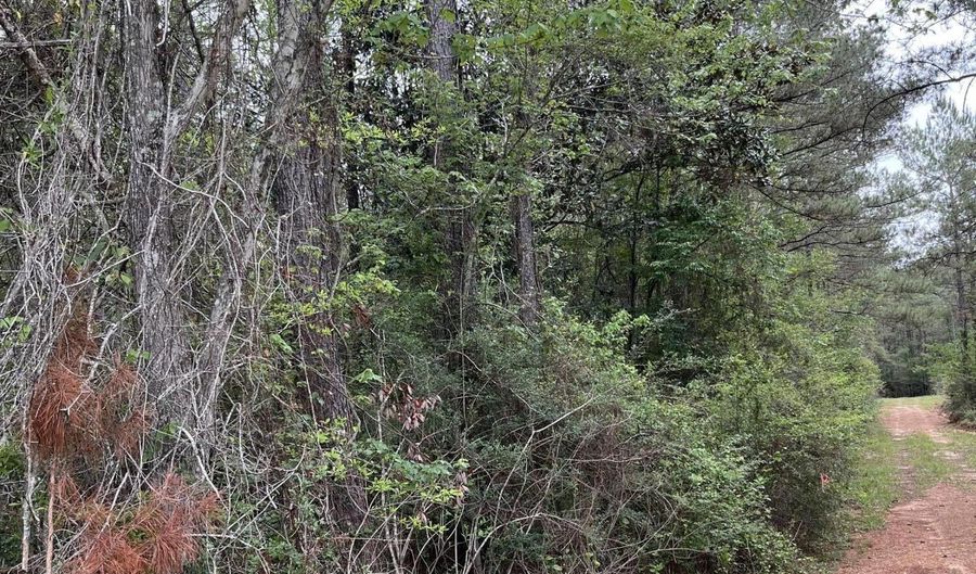 Hwy 49 lot 1, Brooklyn, MS 39425 - 0 Beds, 0 Bath