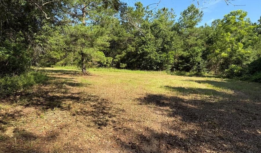64 47 Ac Old Faceville Rd, Bainbridge, GA 39819 - 0 Beds, 0 Bath