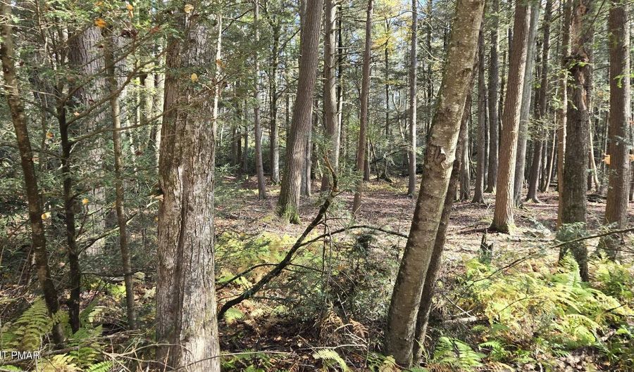 C830 & C83 Lakeside Lane, Albrightsville, PA 18210 - 0 Beds, 0 Bath