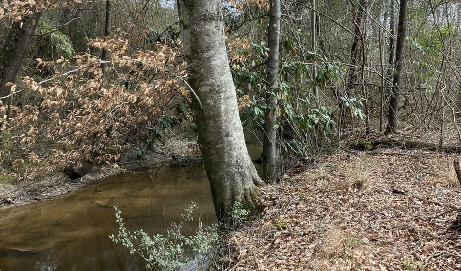 0 Graves Keys Rd, Bassfield, MS 39421 - 0 Beds, 0 Bath