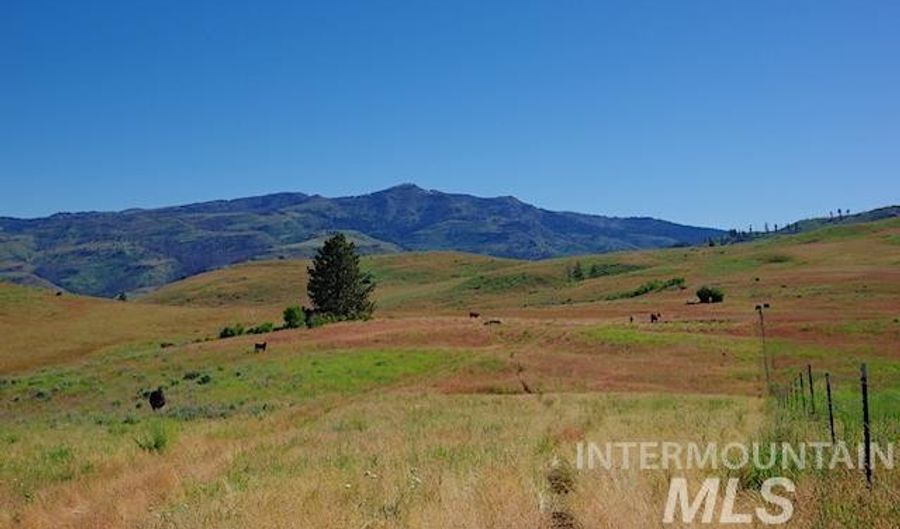 Tbd North Grays Creek Road, Indian Valley, ID 83632 - 0 Beds, 0 Bath