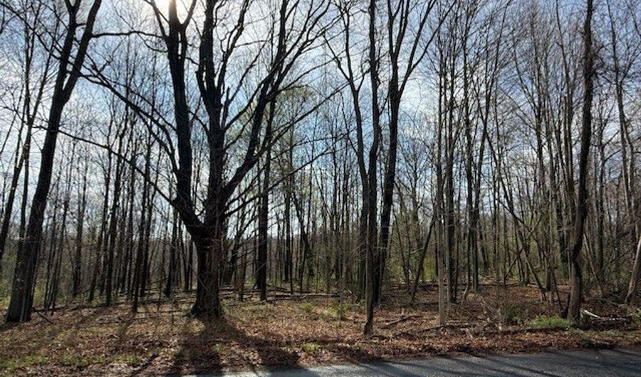 350 Deercliff Rd, Avon, CT 06001 - 0 Beds, 0 Bath