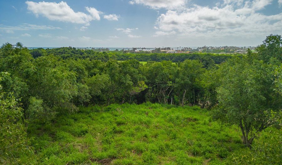 APOPO RD, Kapaa, HI 96746 - 0 Beds, 0 Bath