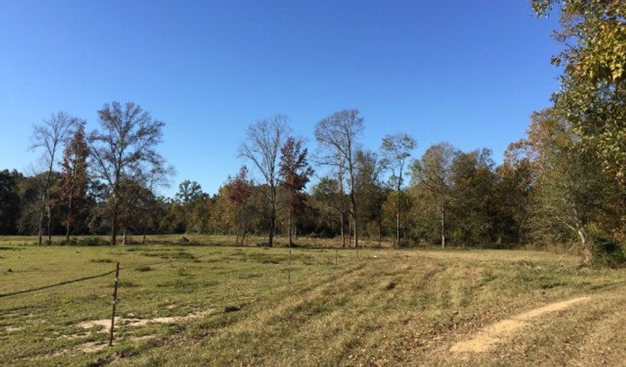 00 HWY 24/WHITES SCHOOL Rd, Centreville, MS 39631 - 0 Beds, 0 Bath
