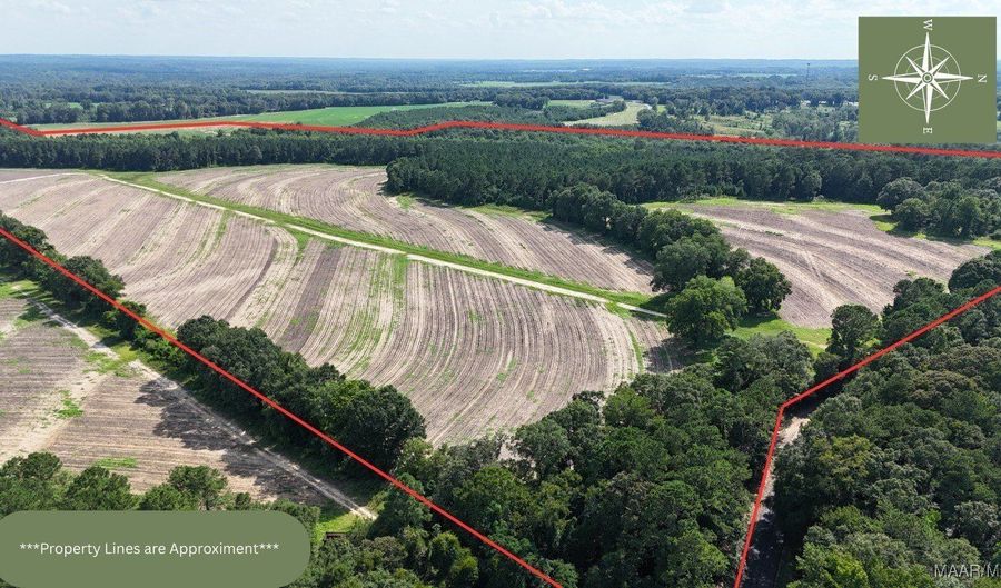 216 County Road 201 Rd, Ariton, AL 36010 - 0 Beds, 0 Bath