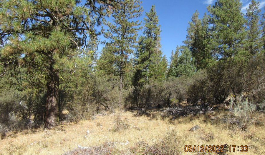 Tiger Lane lot 2, Bonanza, OR 97623 - 0 Beds, 0 Bath
