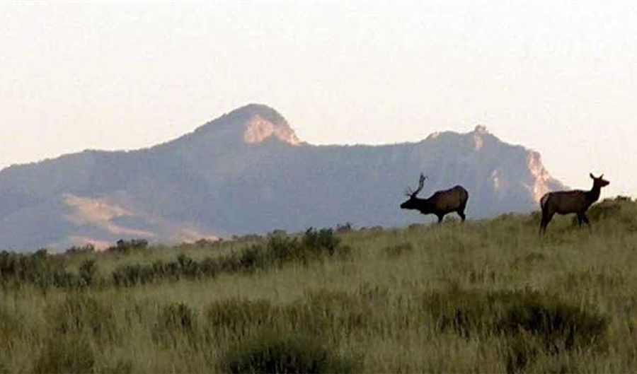 nhn Stagecoach Spur W lot 935-6, Belfry, MT 59008 - 0 Beds, 0 Bath