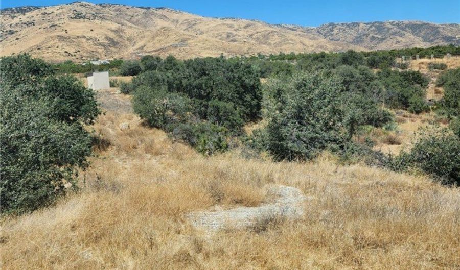 0 Sierra, Acton, CA 93510 - 0 Beds, 0 Bath