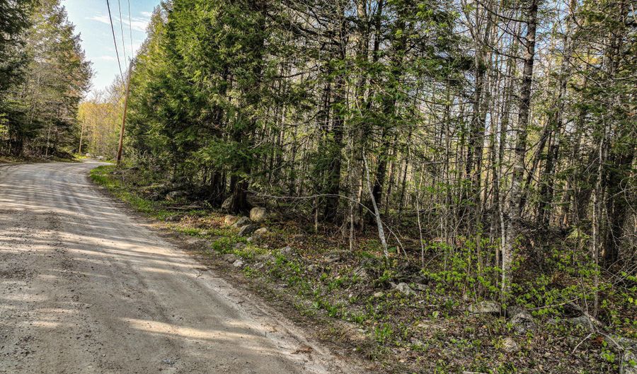Lot 39 Sawyer Brook Road, Andover, ME 04216 - 0 Beds, 0 Bath