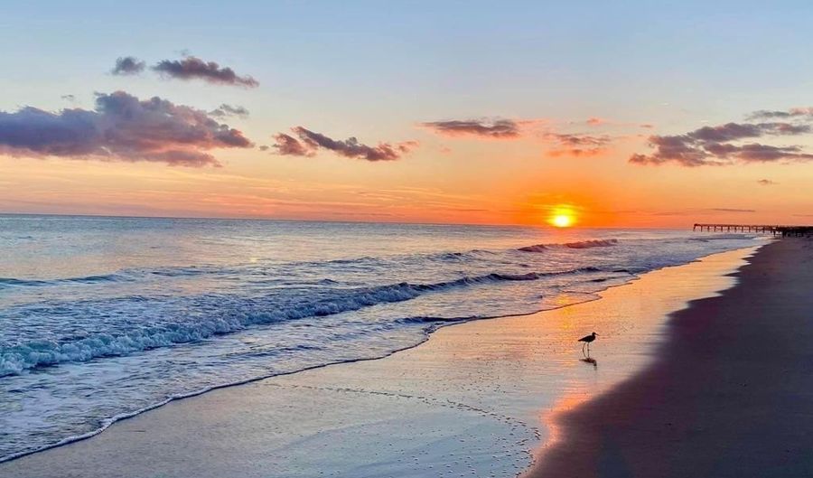 215 W Fort Macon Rd 104, Atlantic Beach, NC 28512 - 1 Beds, 1 Bath