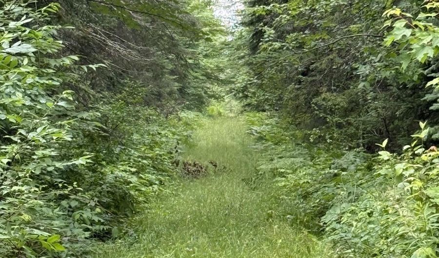 xxx Benson Rd, Alborn, MN 55702 - 0 Beds, 0 Bath