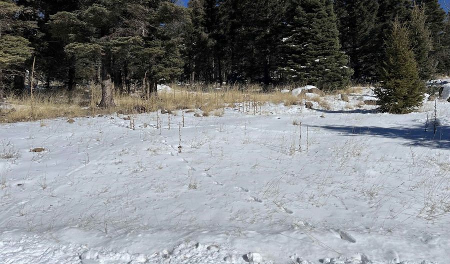 El Camino Real Lot 1386, Angel Fire, NM 87710 - 0 Beds, 0 Bath