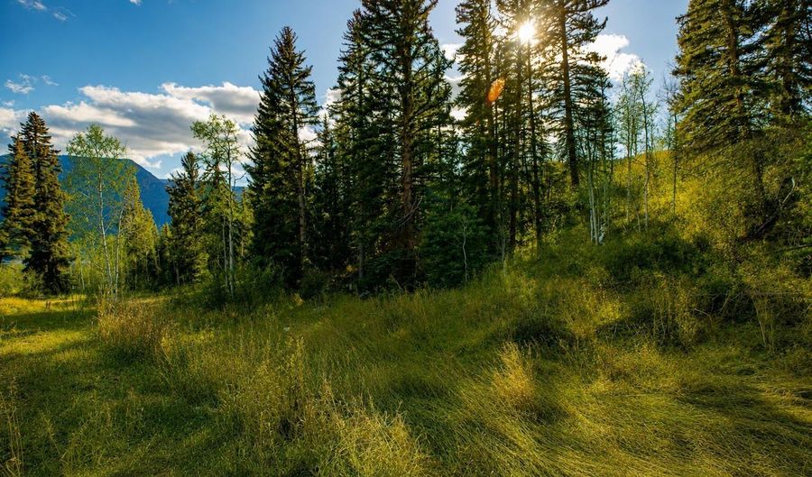 123 Wapiti Way, Basalt, CO 81621 - 0 Beds, 0 Bath