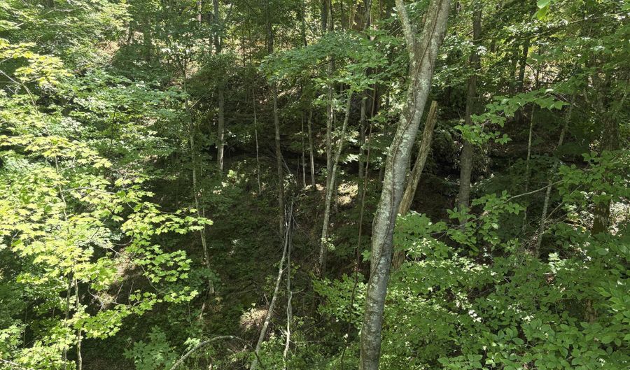 643 Pine Grove Rd, Beattyville, KY 41311 - 0 Beds, 0 Bath