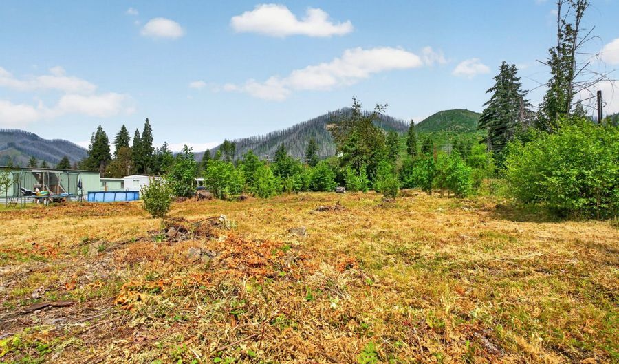 51790 Echo St, Blue River, OR 97413 - 0 Beds, 0 Bath