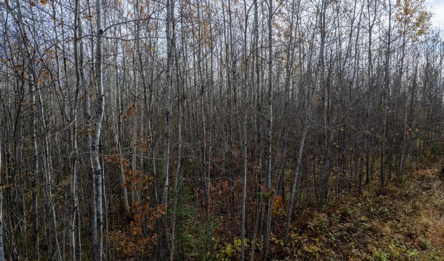 OLD LAKE RD lot On, Anderson, WI 54840 - 0 Beds, 0 Bath