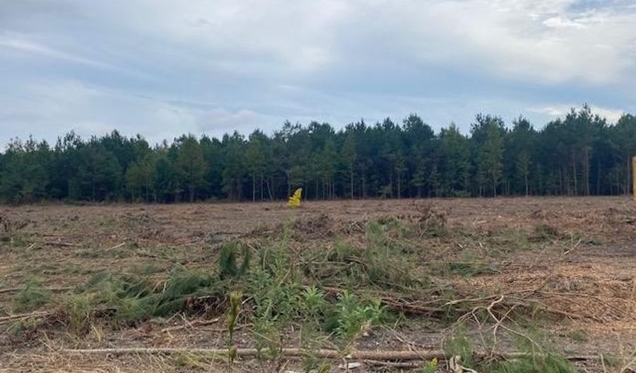Daniels Lane lot 1-C, Bennettsville, SC 29512 - 0 Beds, 0 Bath