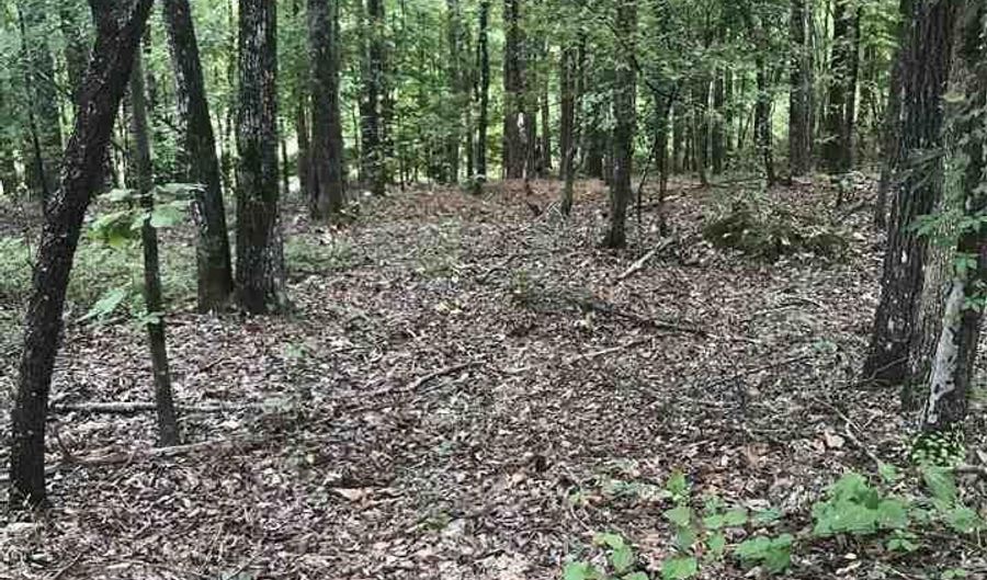 AURORA CIRCLE lot 14, Alpine, AL 35014 - 0 Beds, 0 Bath