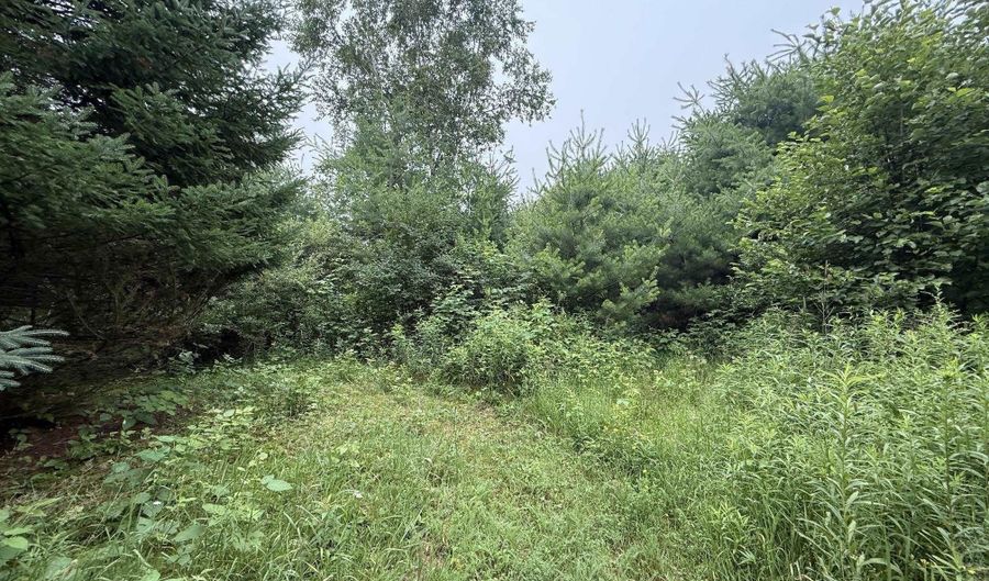 20 Acres E M-30 Hwy, Alger, MI 48610 - 0 Beds, 0 Bath
