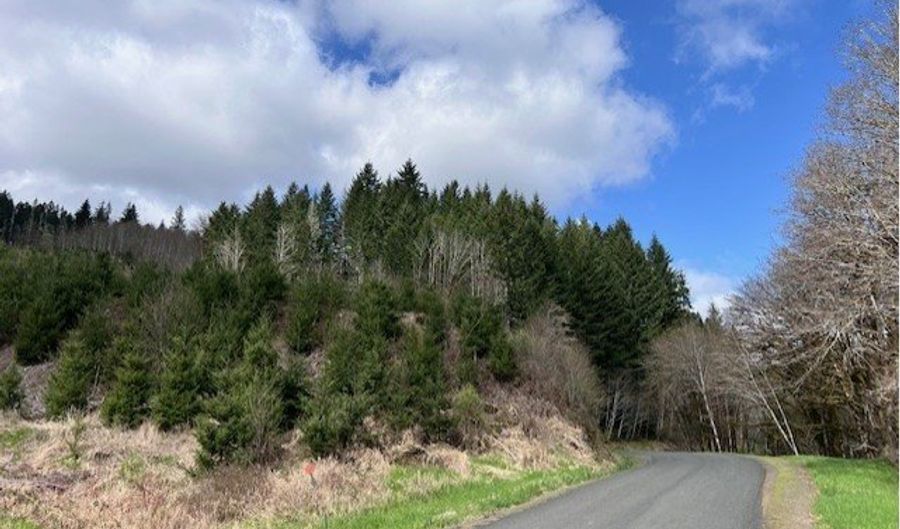 Northrup Creek Rd, Birkenfeld, OR 97016 - 0 Beds, 0 Bath