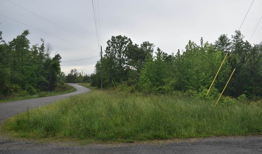 00 MURRAY SCHOOL, Bethel Springs, TN 38315 - 0 Beds, 0 Bath