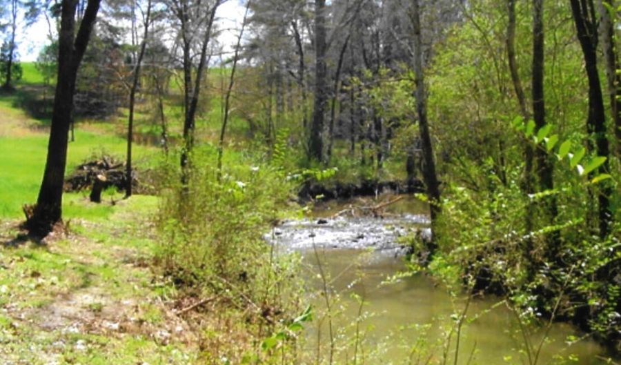 Lot 35 Watauga Lane, Birchwood, TN 37308 - 0 Beds, 0 Bath