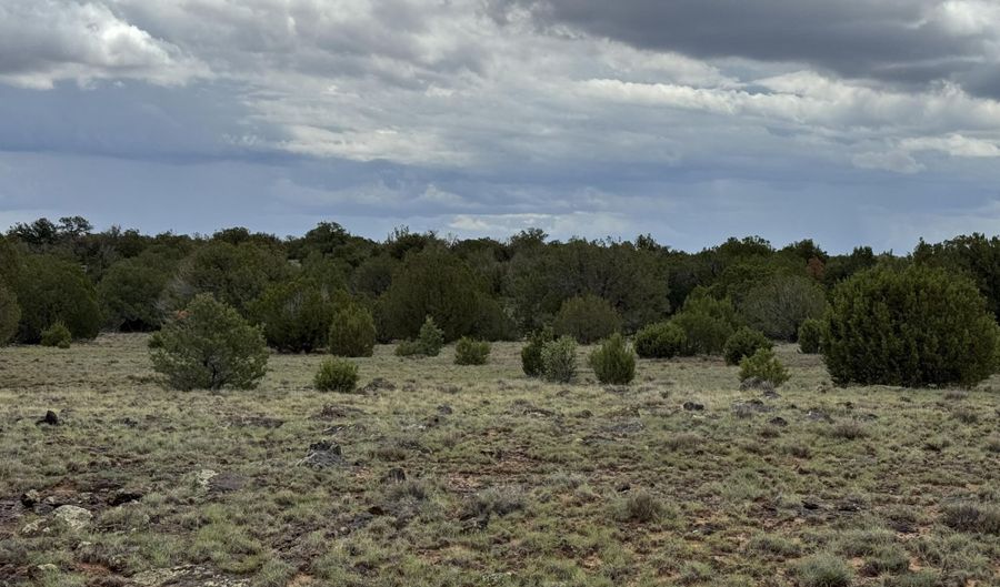 8 County Road 8080, Concho, AZ 85924 - 0 Beds, 0 Bath