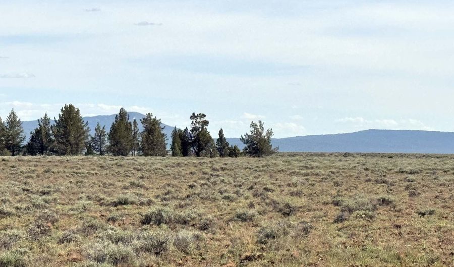 Oregon Pines Road TL 2000, Beatty, OR 97621 - 0 Beds, 0 Bath