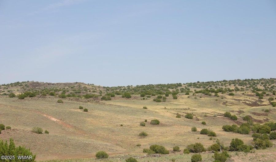 CR 212-08-001E, Concho, AZ 85924 - 0 Beds, 0 Bath