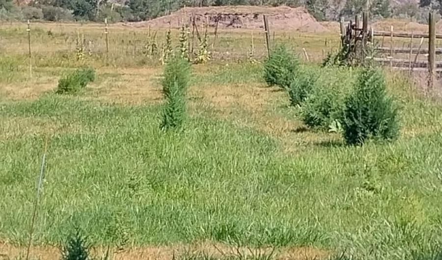 662 N Highway 93, Carmen, ID 83462 - 2 Beds, 2 Bath