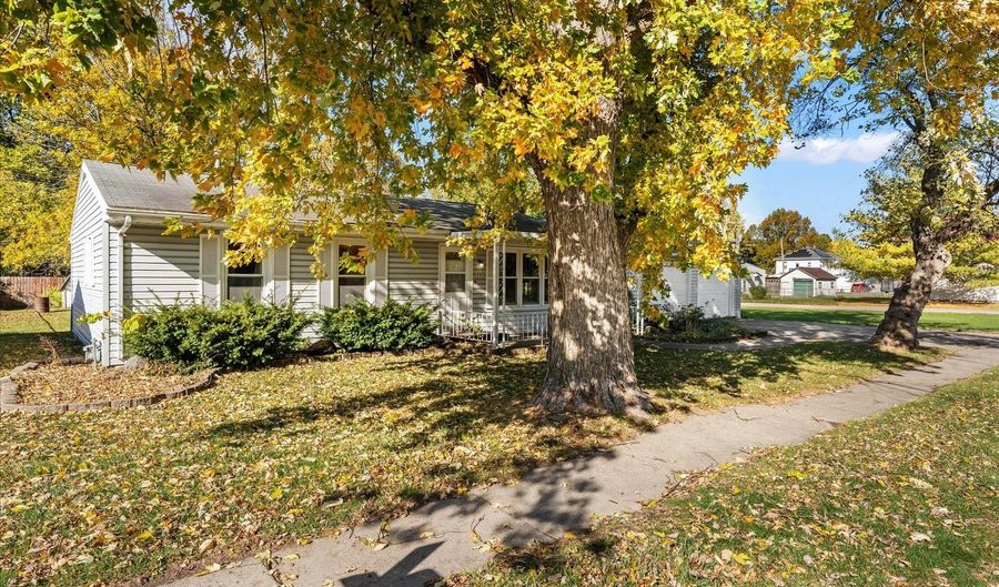 211 S Main St, Argenta, IL 62501 - 3 Beds, 1 Bath