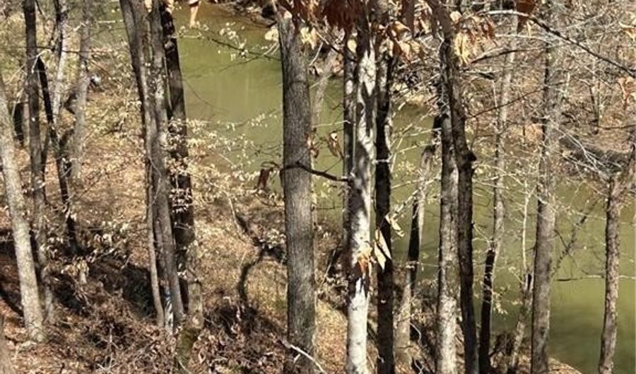 28 TRAILS END Ln, Alexander City, AL 35010 - 0 Beds, 0 Bath
